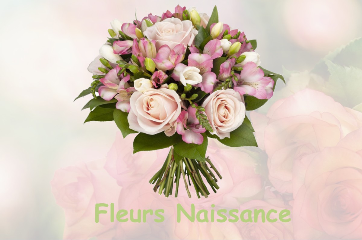 fleurs naissance VILLEMATIER