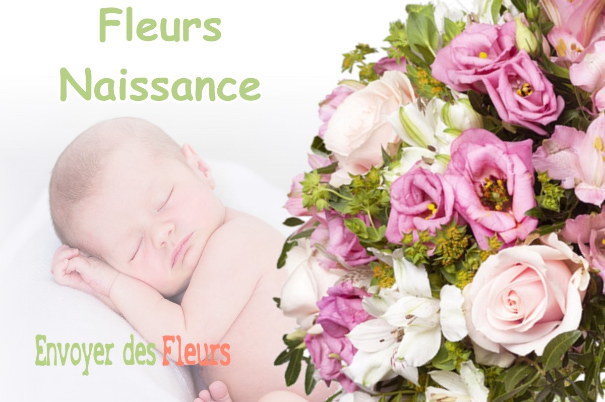 lIVRAISON FLEURS NAISSANCE à VILLEMATIER